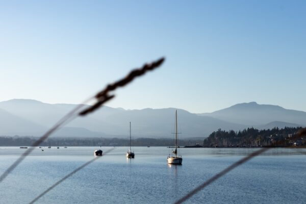 Wenjie Chinese Restaurant