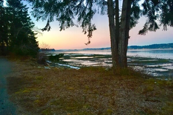 Hands By The Sea Massage Therapy