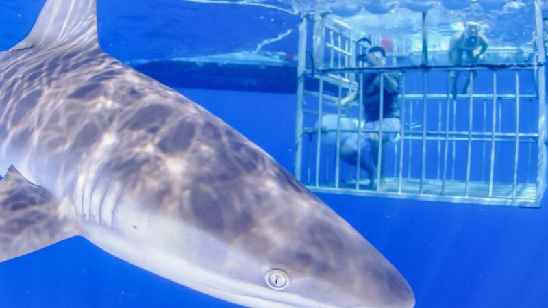 Mulberryland Guest House