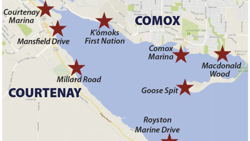 Signs of Abundance – Comox Marina