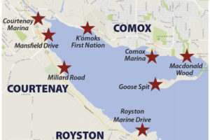 Signs of Abundance – Mansfield Drive