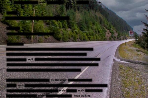 Comox Valley Art Gallery