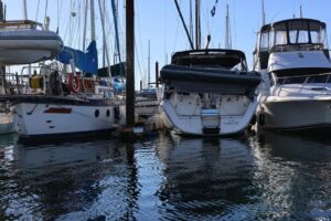 Eyes on the Harbour