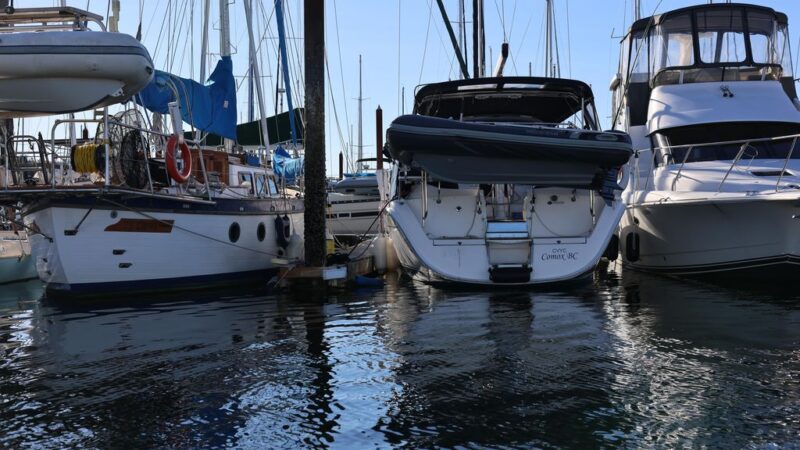 Eyes on the Harbour