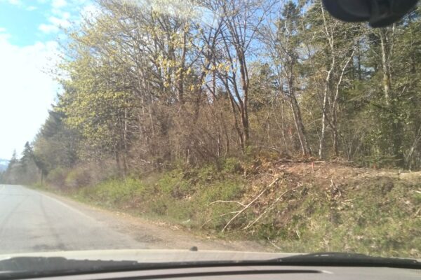 K’ómoks Puntledge Reserve