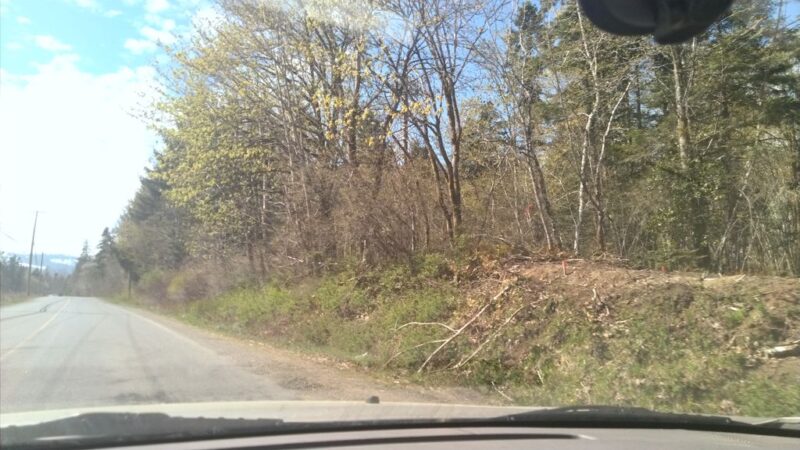 K’ómoks Puntledge Reserve