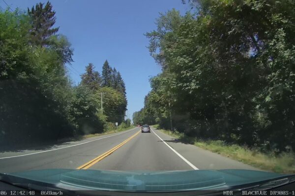 Nurse Logs, Snags and Wildlife Trees