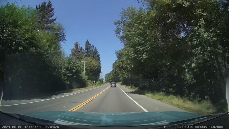Stratification in the Millard Forest