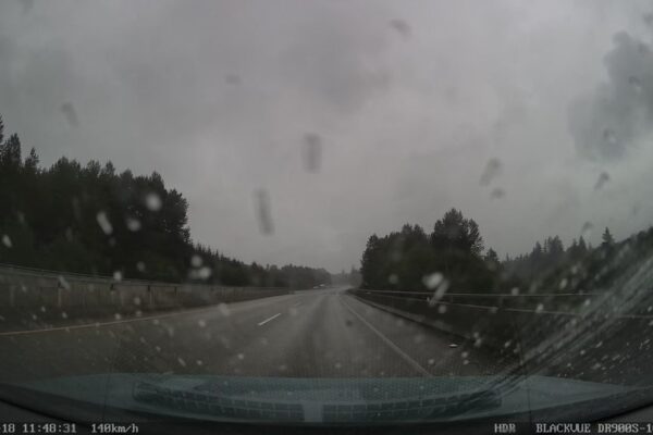 Morrison Creek Fish Habitat Enhancement